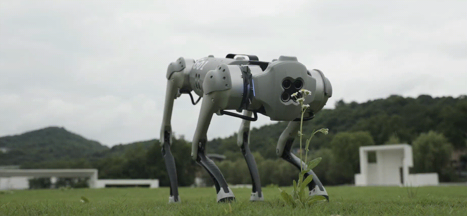 UNITREE GO1PRO - Dimensiones