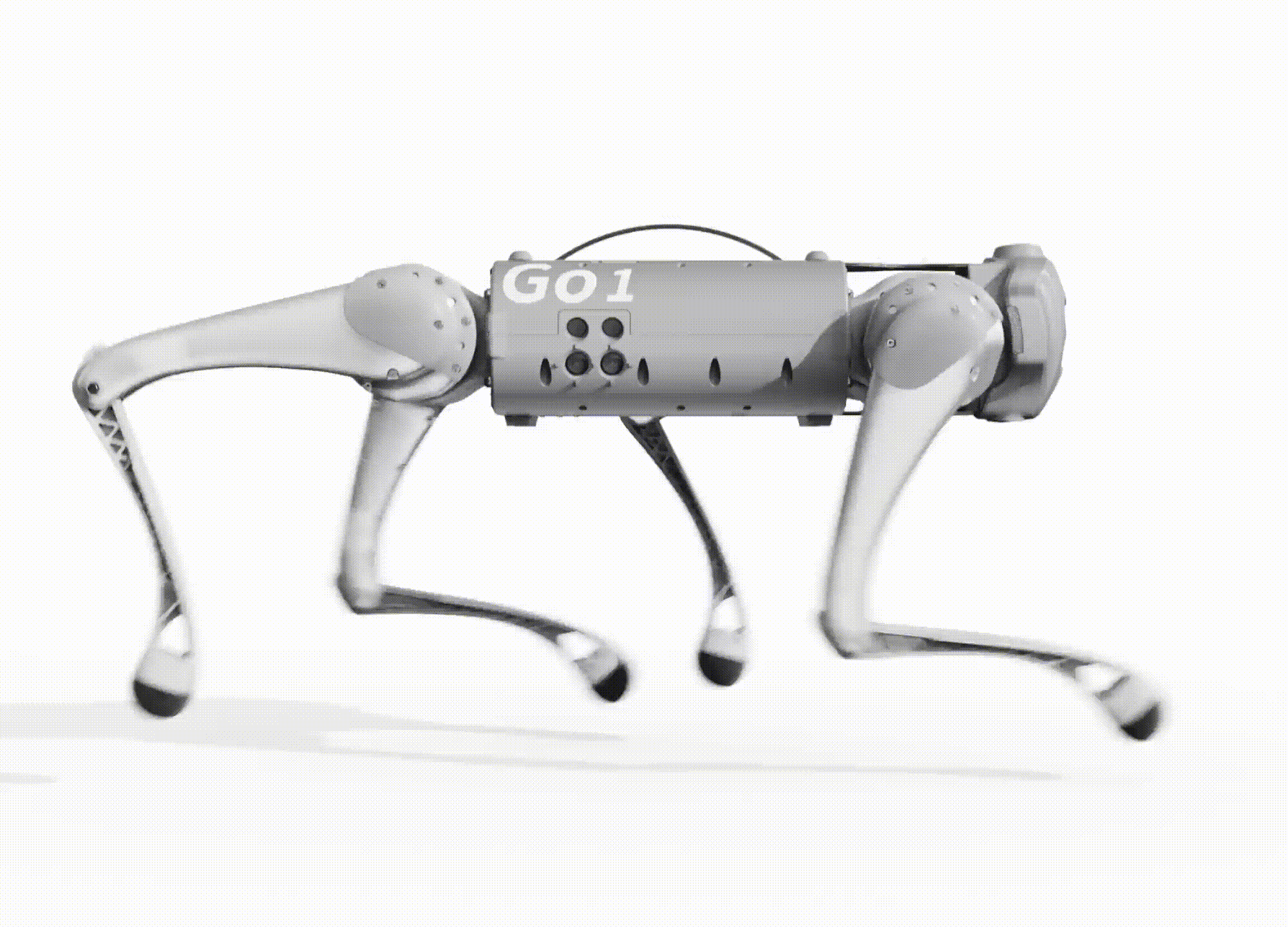 UNITREE GO1PRO - Sistema ISS